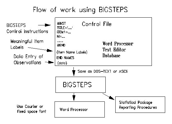 WINSTEPS operational flowchart